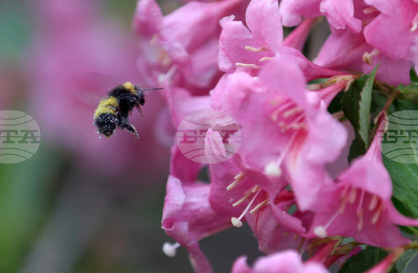 �������� �� ������� �� 9 ���� (����������) � ���������� ���