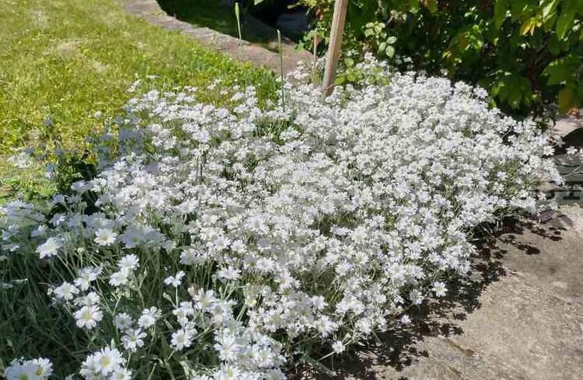 ������ ������ ������� ������ �� ������� ����� � ������ �� �������������� ������������