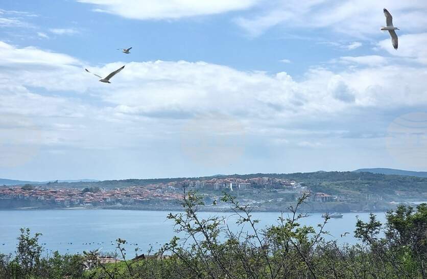 ����� ���� � ������� � ������� ��-����� ��������������� �������