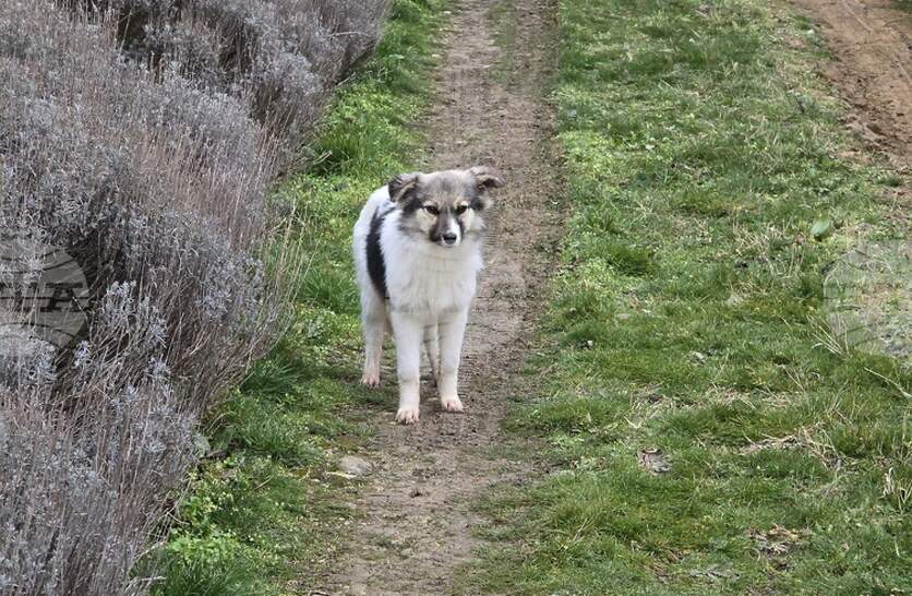 � ������ �� �� ������� ��������� ������������ ������� �� ������ ������ � �����