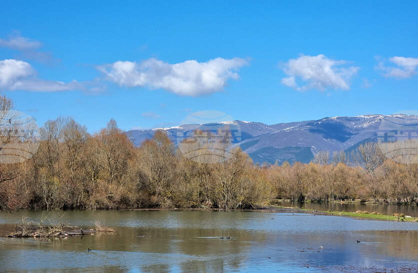 �������� ������ �� ������ ���������, ������ ���������� ���� ������ �������