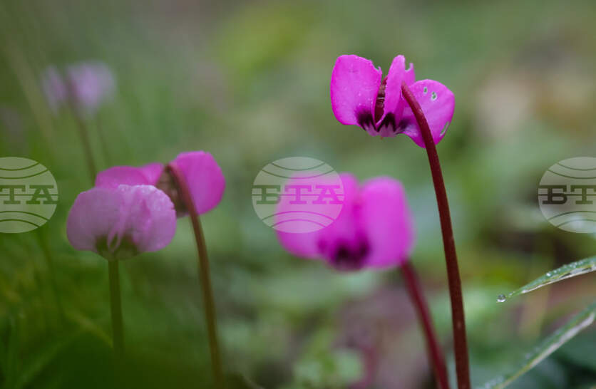 �������� �� ������� �� 15 ���� (������) � ���������� ���