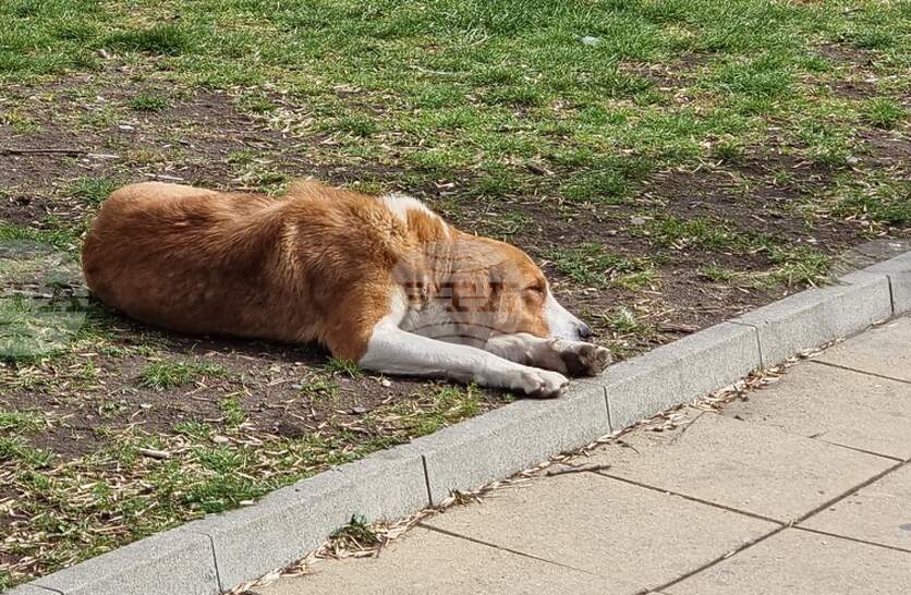 �������� �� ��������� ��������� �� ��������������� ������� ������� � ������ ���� ������