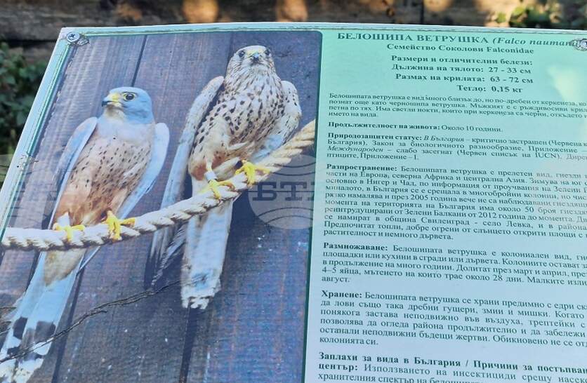 ��� �������� �������� �� ������ ������� � ����� ������ �� ������ �� ������� � ����������� ������ �� ���� ������� �� ������� �������