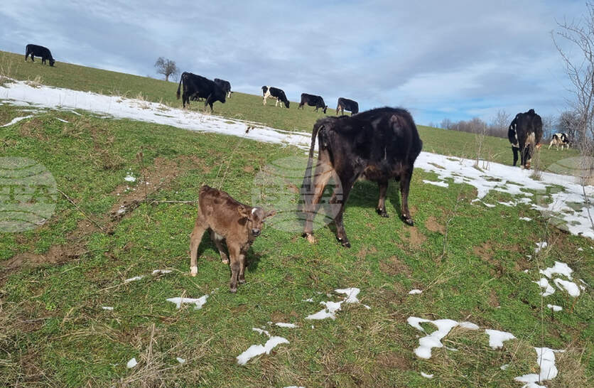 ������ ������� �� ������ ��������� �� ���������� ���� � �� ����� �� ���������, ������ ���������� ���������