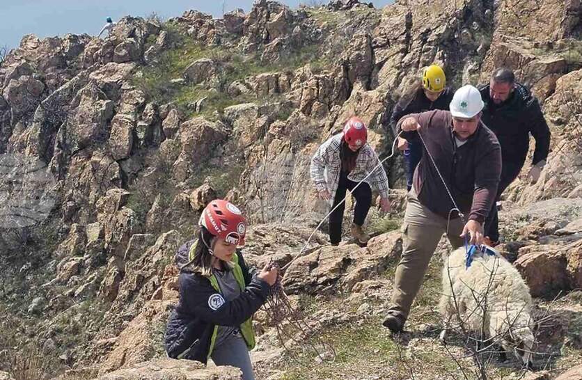 ����� �� ����������� �� ���������� � ������� ���� ��������� ���������� ���� �������������� ���� ������ ����