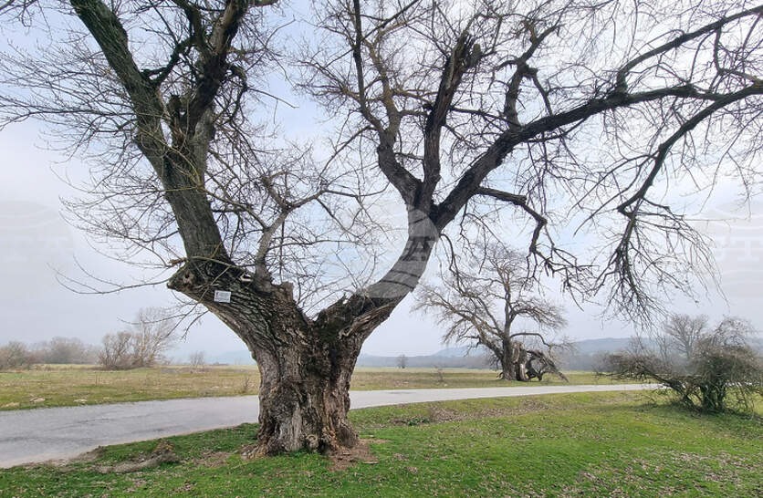 ���� ����������� ���� ������� ������ ������� ������� �� ���� ����� ������, ����� �� ������� �� ��������