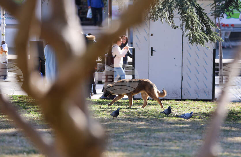 ��������, ��������� ���������� ��� �� ������� �� ���������� �������, �� ���� ������� � �����