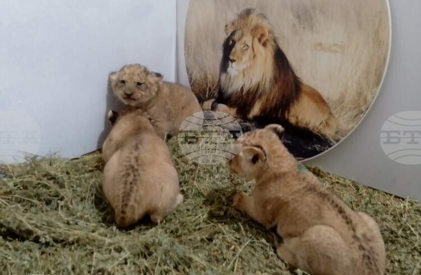 �����, ������ � ���� �� �� ������ ������������ ������� � �������� � ����� ������