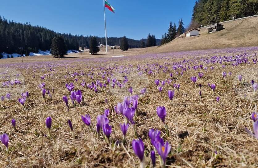 �������� �� ������� �� 8 ���� (������) � ���������� ���