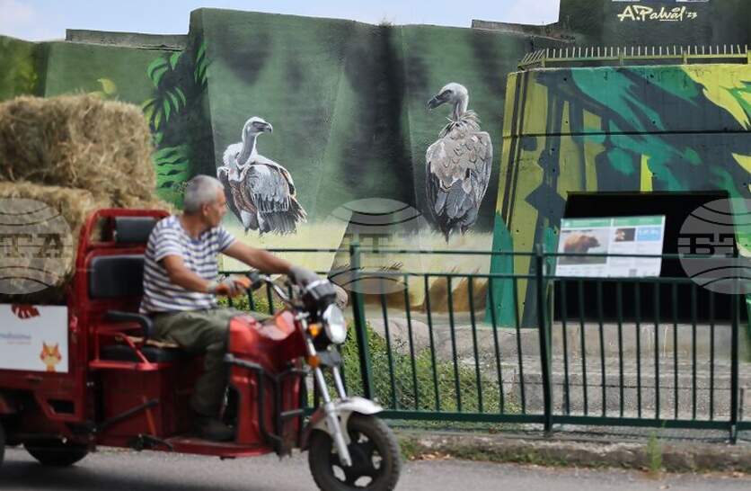 �� ���� �������������� ������� � ����� ��������� ��� ����� ������� ����� - �� 9:30 �� 19:00 ����