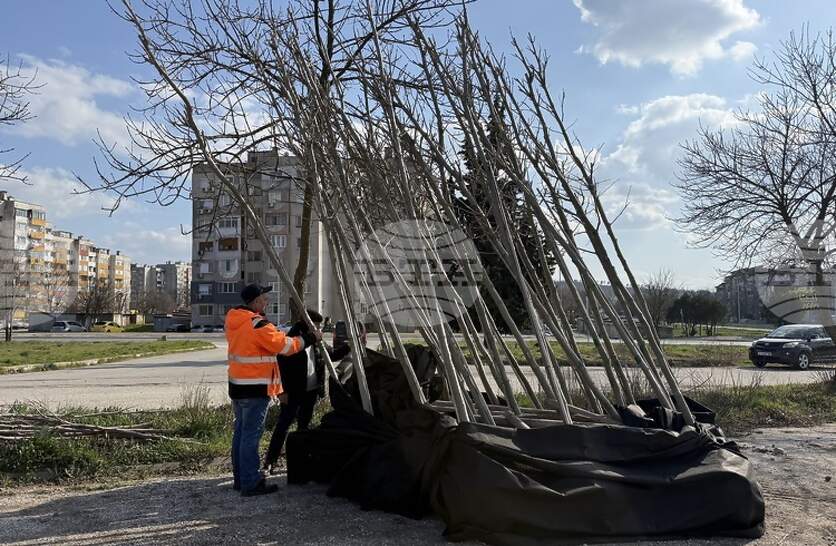 ��� 200 ������ �� ����� �������� � ����� � �������� ����������� ��������