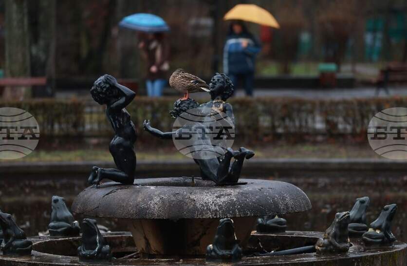 �������� �� ������� �� 29 ���� (������) � ���������� ���