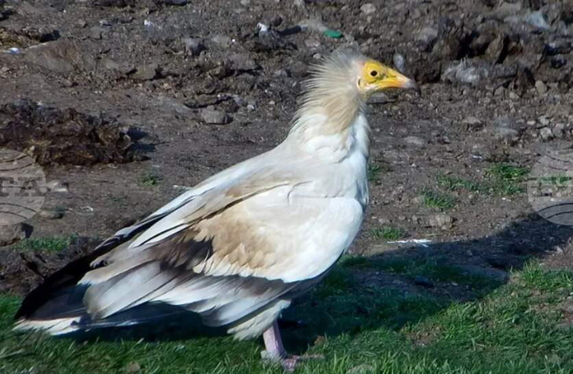 ������� �� ���� ������ ��������� ������ ���� � � ��������