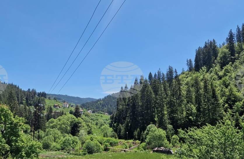 ������������ ����� �� �������: ����� ������������ ���� � �����a �� ����� � ��������� ������