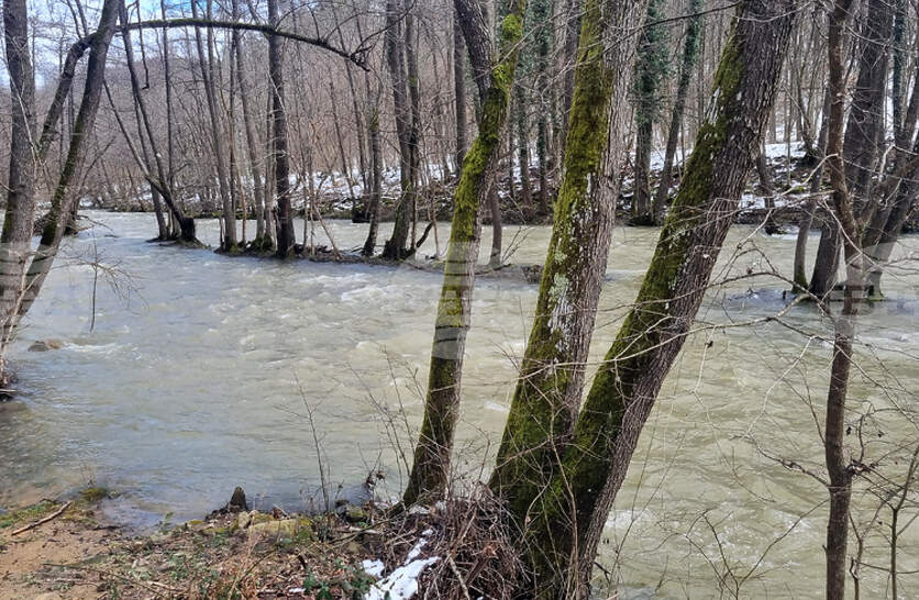 ������ ��������� �� �������� ���� ����� ��� ����� �� ��������� �� �������� ����������� �� �� ����� � ���� ��������