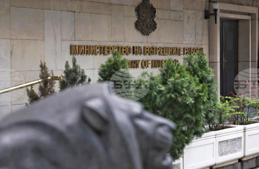 ���� 2025 ������ �� ��� �� ������������ ���� 80 348 ������������, �������� �� ������ ��������� ������