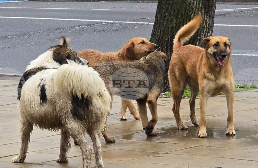 ������ ������ ������� �������� �� ��������� ��������� �� ����� ������� ������