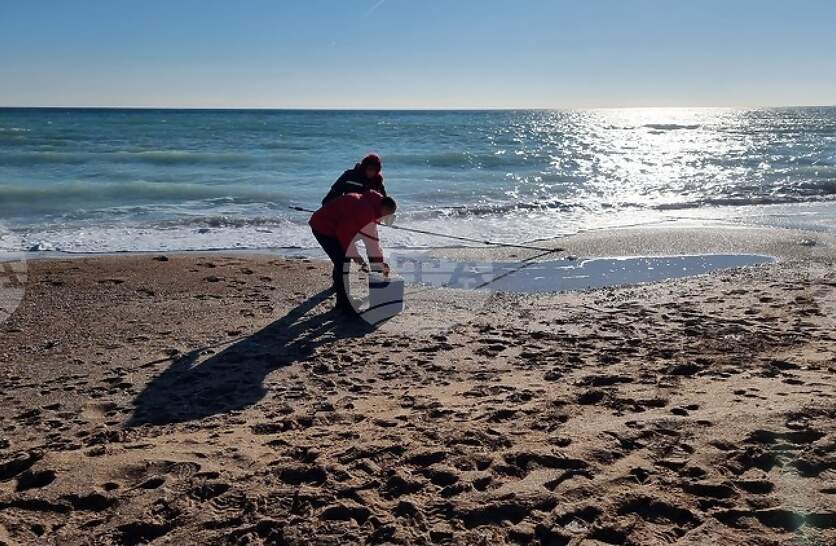 ���������� ����� �� ������� ������ �� ������������ �� �����