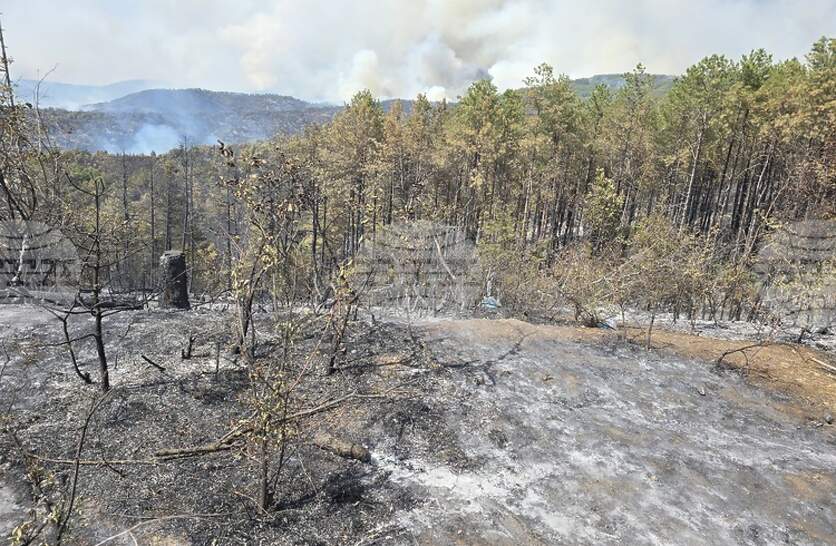 ��������� �������� �� ��������� �� ������ �������� ������������ �������� ����������� � ������������ �������� �� ���������