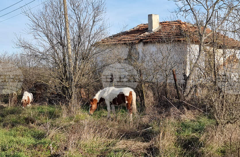 ���������� �� ������ ���� �� ��������� �� ������������� ���� ���������