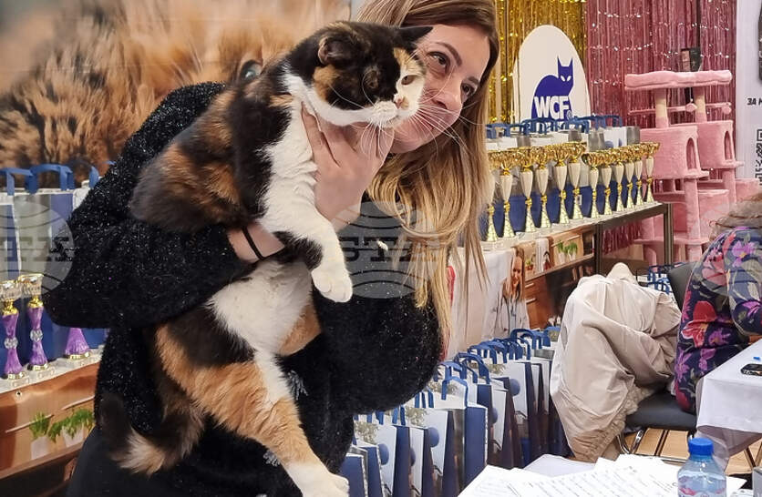 ���������� �� ��� ������ �� ����������� �� �������������� ������� �� ����� ��� �����