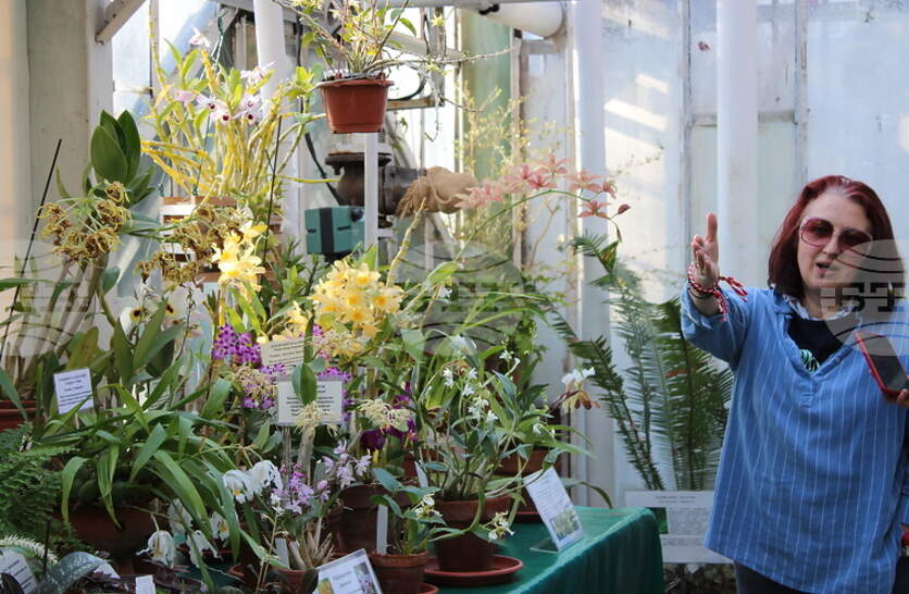 ���������� ������� ������� e �������� �� ����� ��� � ��������� �� ������� � ������������� ������� �� ���