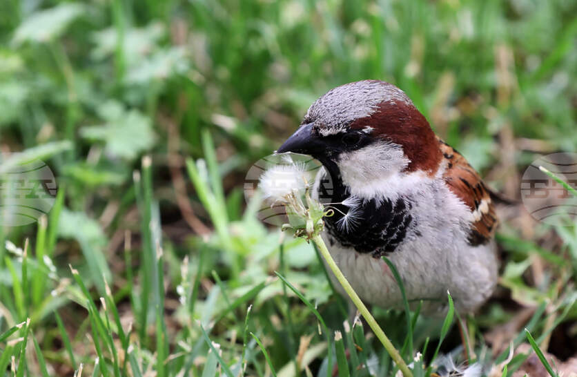 �� ��������� ��� �� �������� ������� �������� ������� �� ���� ����� �����������, �������� �� ����������� ��������� �� ������ �� �������