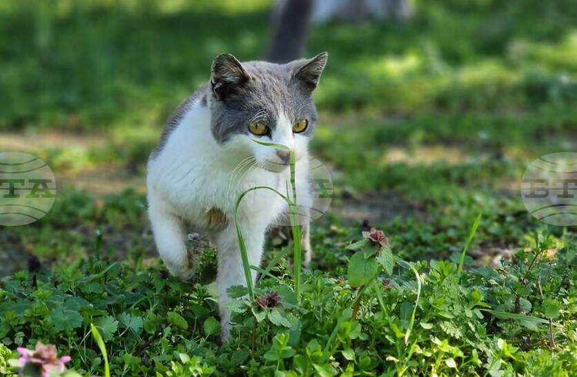 �������� �������� �� ��������� �� �������� ������ � ����� ����������� �� ������ ��������