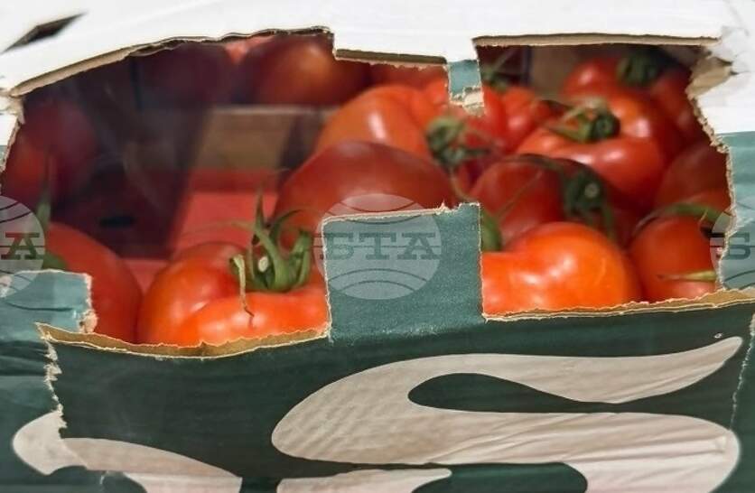 ������������� 16 ���� ��������� ���������� ������������ ��������� �� ���� 