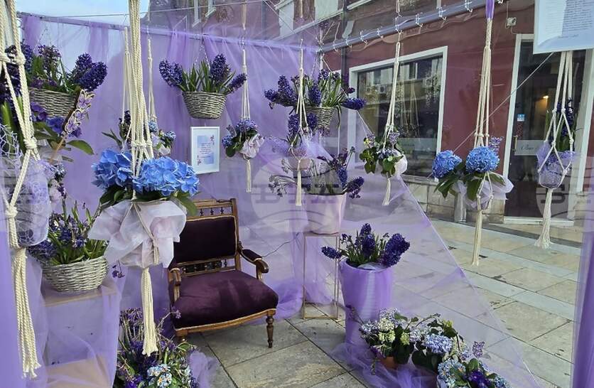 ������ ���������� �� ������� ������� �� ����� � �������� ���