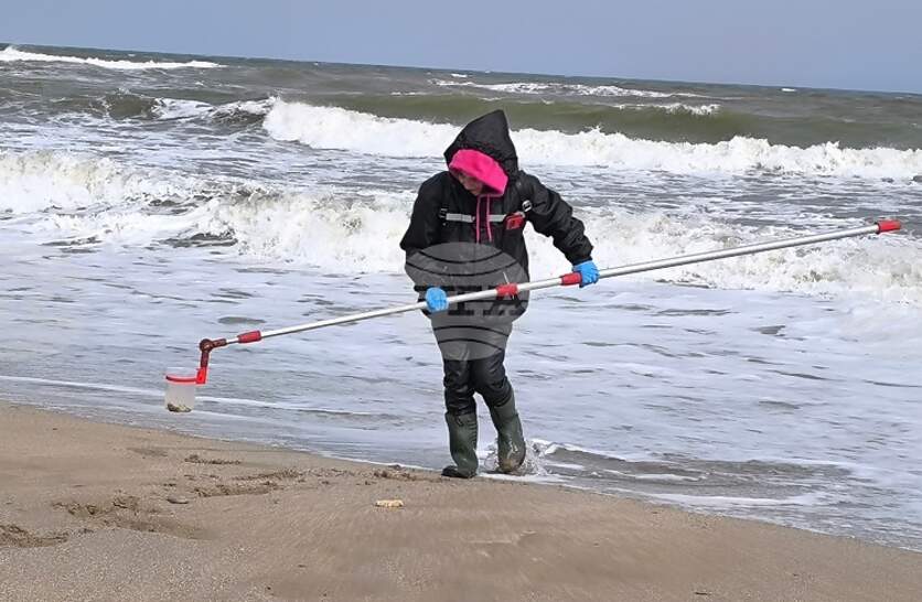 �� � �������� ����������� �� ������, ����� �� � ������� �� ������ ��������� �� �������� ������ ���� �����