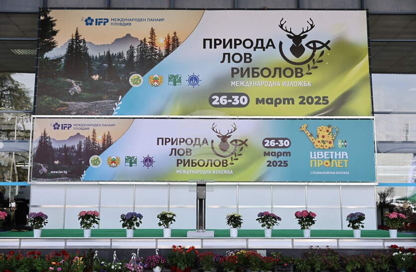 ������������ ������ ������� �� ���� ������� �� ��������� ��������. ���. ������� � ������� ������ ���� ���������� �������