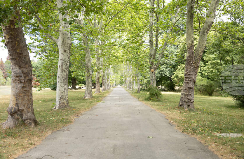 ���������� ��������� �� ����� ���� ������ �������� ������������ ������� �� ����������� � ��������� �� ���� ������� �� 2026 ������