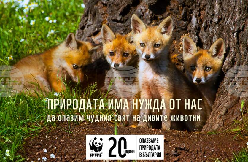 ������ ������ �� ������� ������ � ���������� ���������� �� �������� �� �������� ����� ������ �� �������