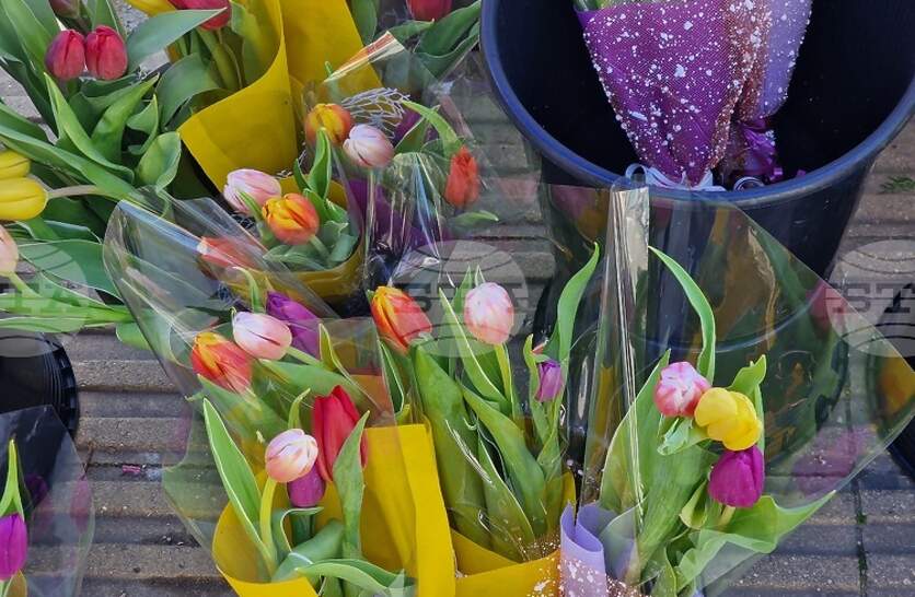 ��������, ������ � ����������� �� ���� ���-��������� ����� � ���������