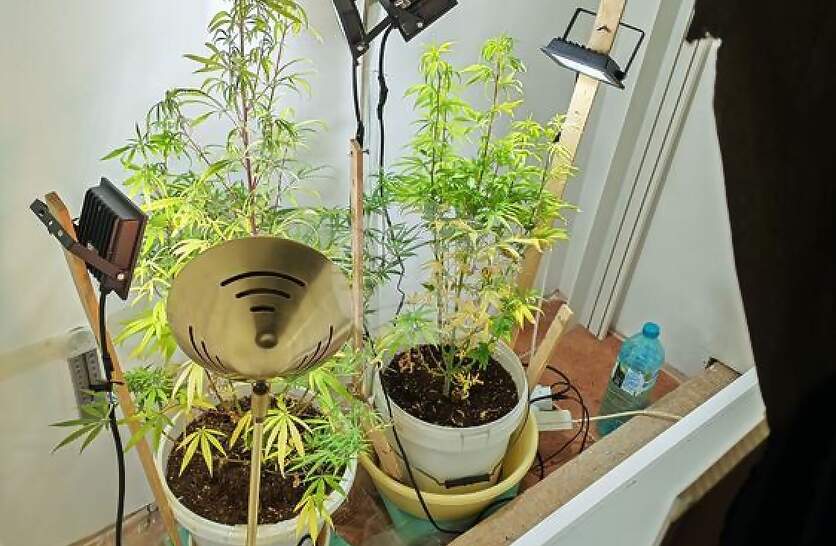 ��� ����� ����� ���������� �� ������� � ������� � ������� ��������������