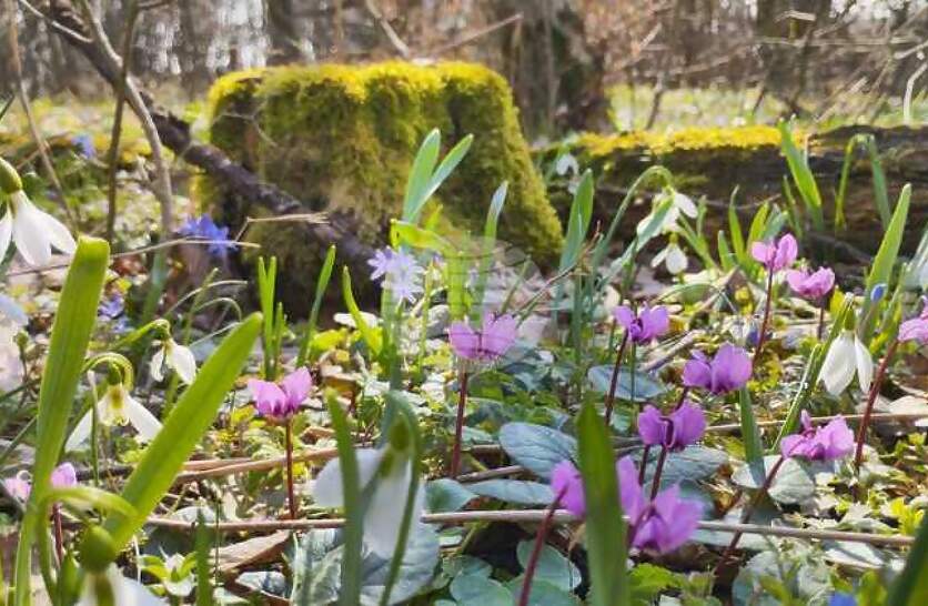 ���������� �� ������� ���� ������ � ��������, ������������� �� ������� ���������