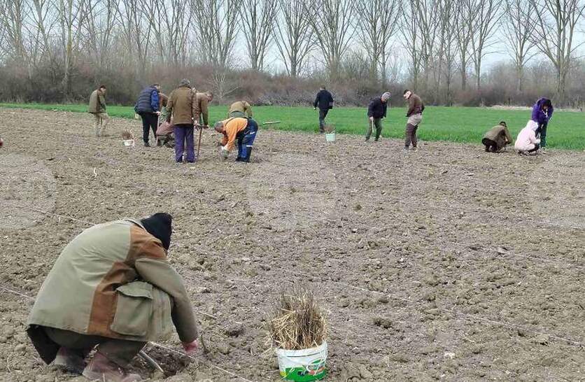 ���� �� ����� 42 ������ ���� �������� ���� ����������� ���� �������