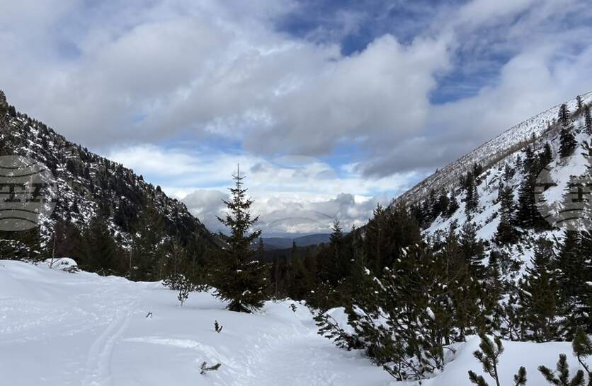 ��������� � ��������� �� ��������� �� �������, �������� �� ����������� ���������� ������ �� ���