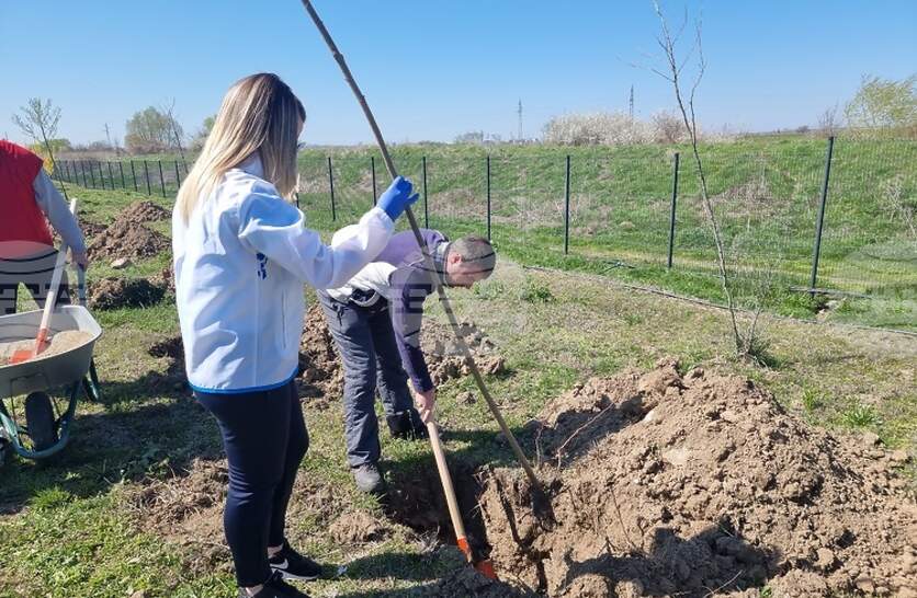 ������������ �������� ����������� � ������ ���������� ������� ����������� ����� ���� �������