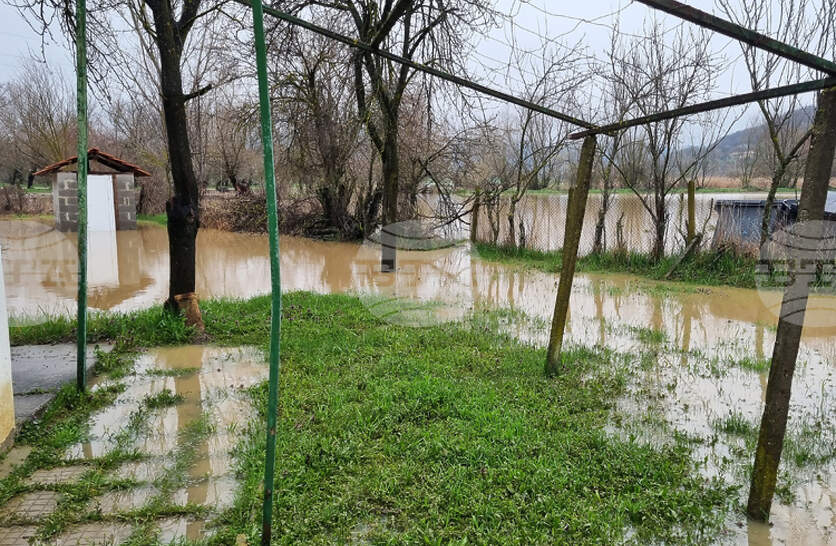 ������ � �������� ���� ������������ ����� �� �������; ���� ��� �� ��������, ���� � 24 ������ �����