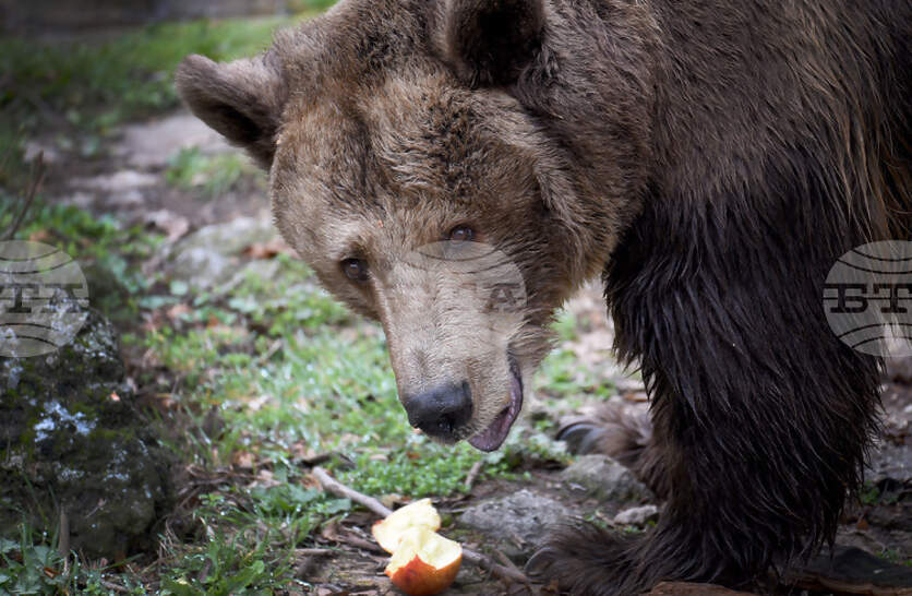 ���� ���� ���� �� ������ ����� �� ���������� ���� ������ � �������� � ������ ������