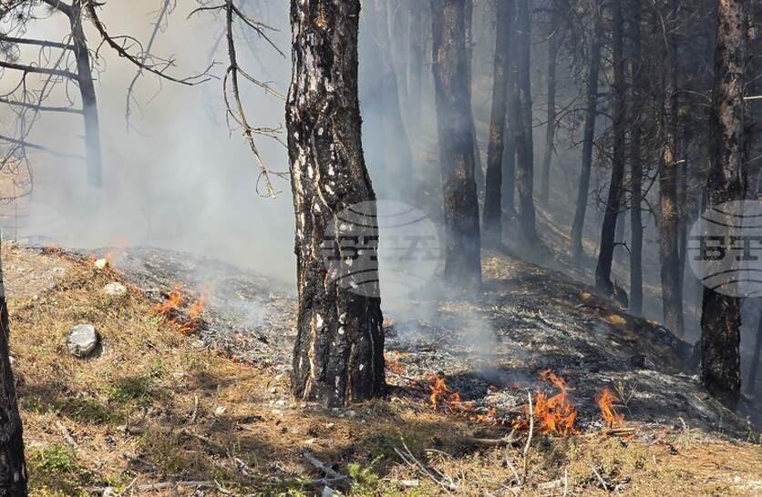 ����� 40 ������ � �������������� ����� ���� ������ �� ���� ��������� �� ����� ������ �����, ���� ���������� ����