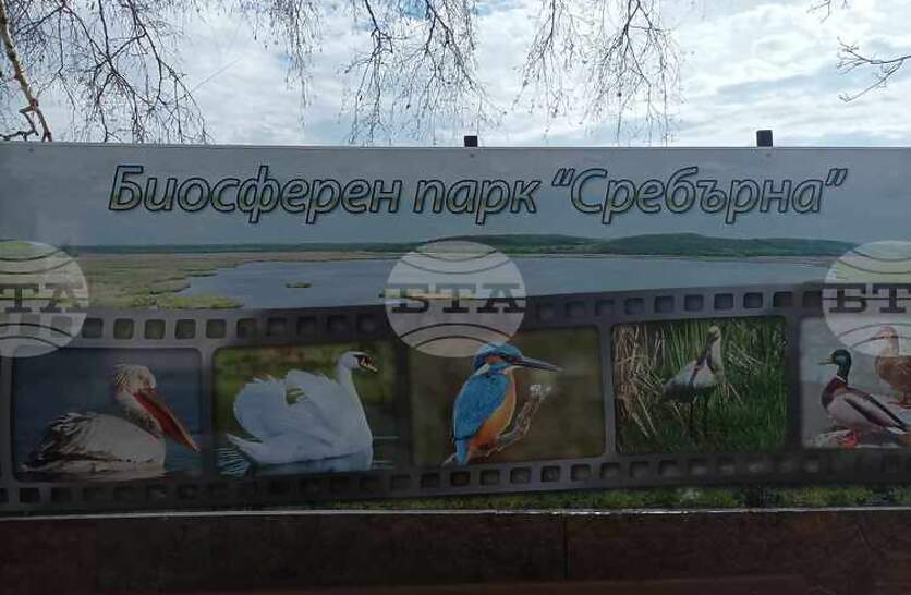 ����������������� ������ �� ��������� �������� ���������� ������ ���������� �� ��������� �����������