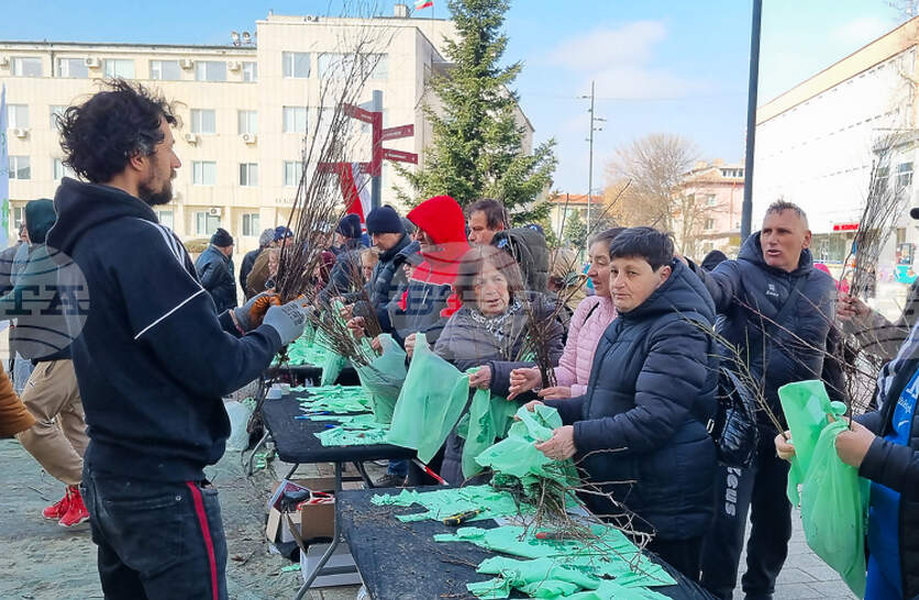 ������, ��������� � ������� �������� ���� ��������� � ��������� �� ������������ 