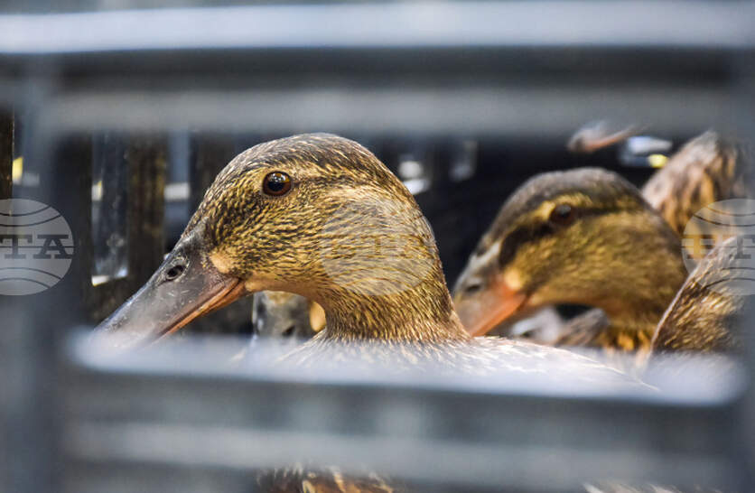 ������ �� ����� ���� � ���������� ��� ����� �� ������ � ����������������� ���� ���������