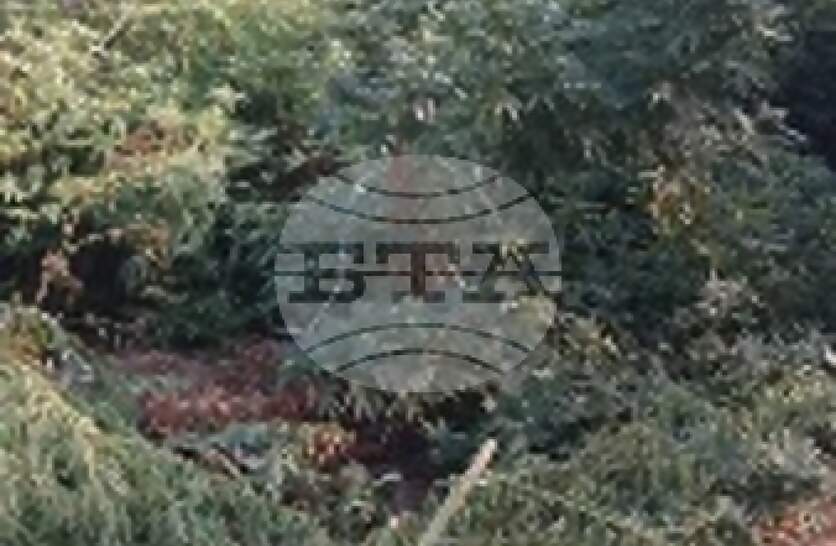 ������������ �� ��������� ���������� � ��������� �� �������� ����������� �� ���������� �� �������