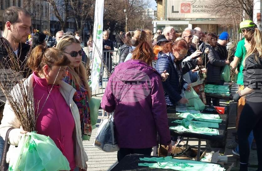 �� ������������ ������� �Ó �������� � ��������� ��� 16 000 ������� �� ������, ��������� � ������� �������