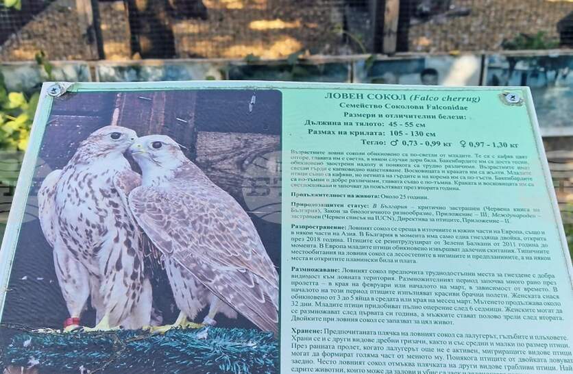 ��������������� ����� �� ������� ������ � ����������� ������ �� ���� ������� 